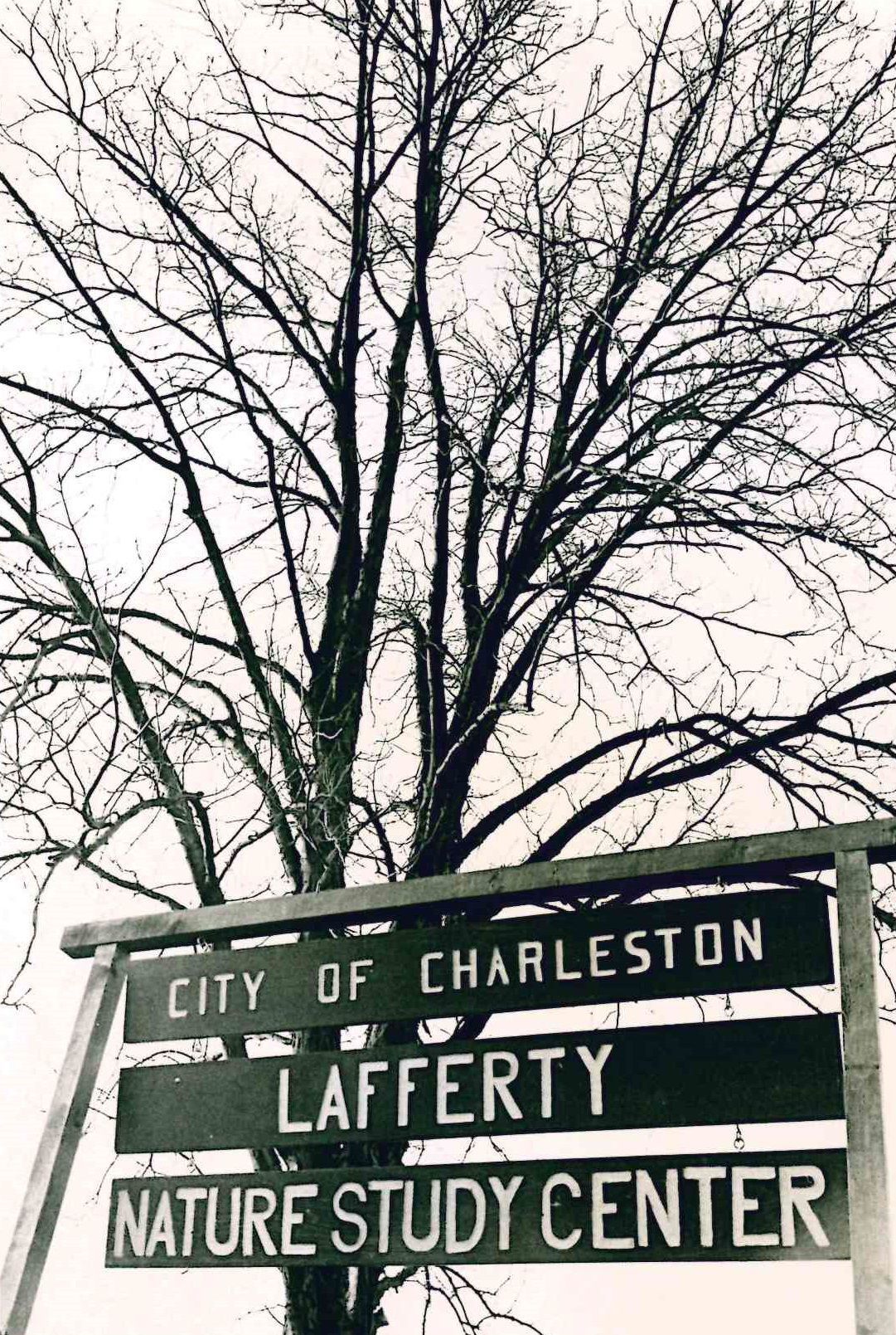 Lafferty Nature Center